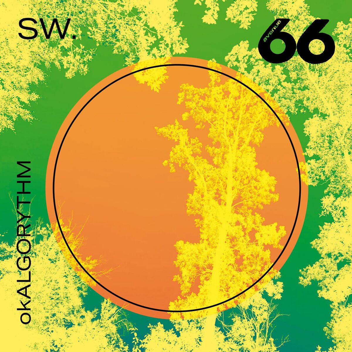 Album cover of okALGORYTHM