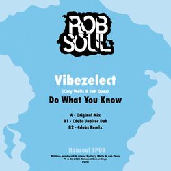 Cover of Do What You Know