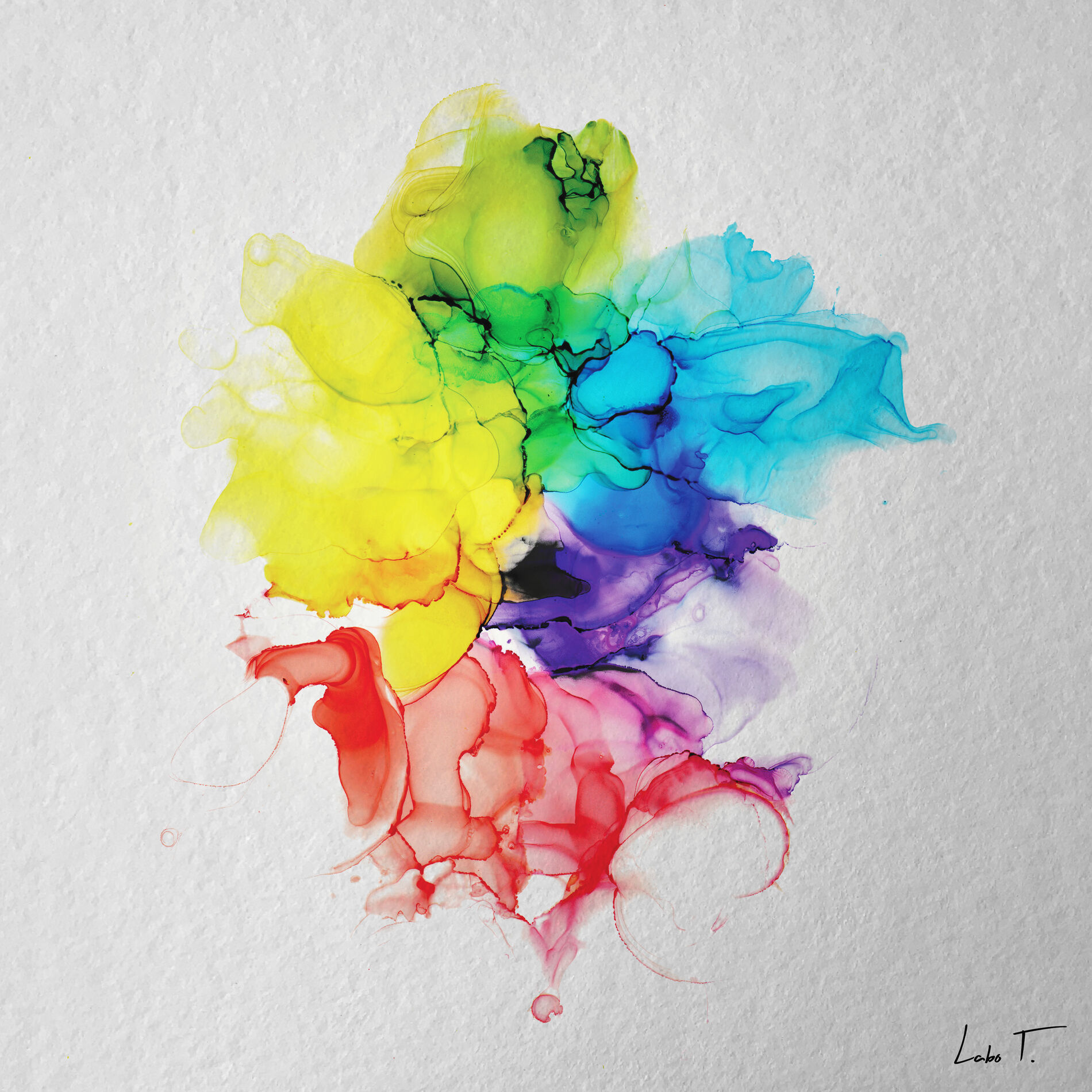 Album cover of Polytone