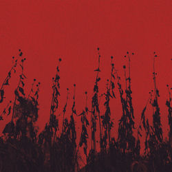 Cover of Nebosvod by undefined
