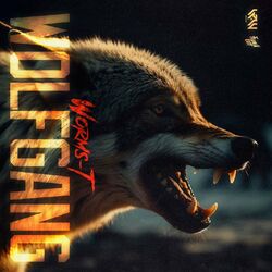Cover of Wolf Gang