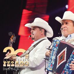 Cover of Directo 93-13 (En Vivo/20 Aniversario/Vol.1)
