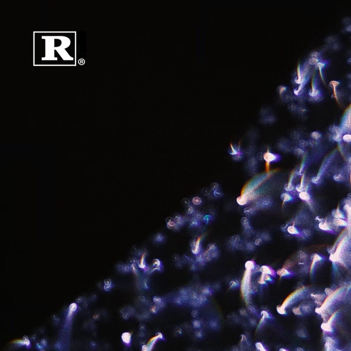 Album cover of Cold World