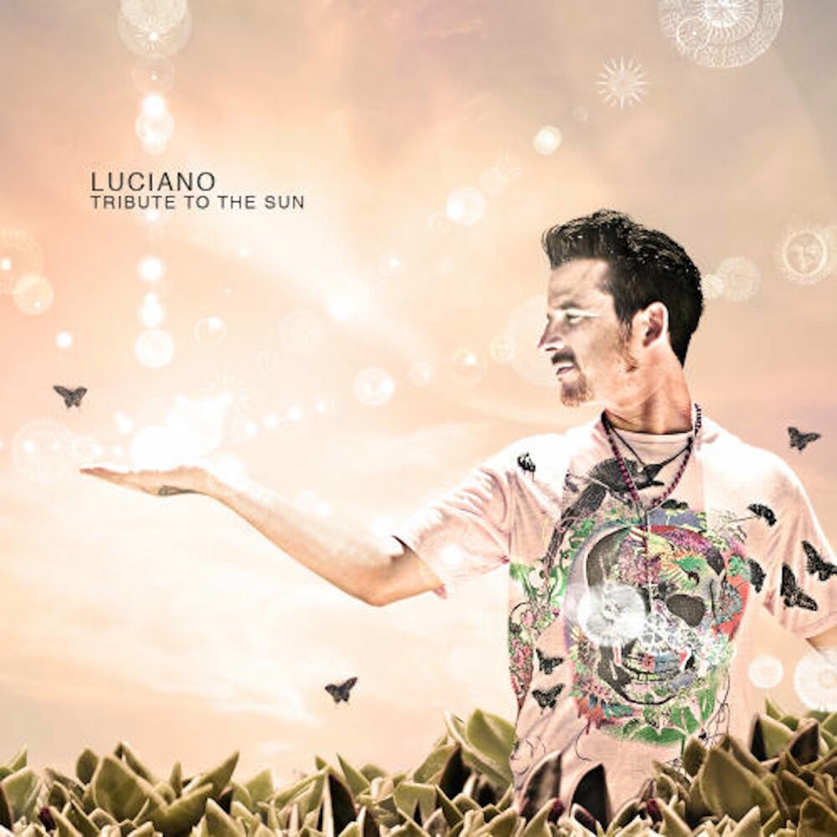 Album cover of Tribute To The Sun