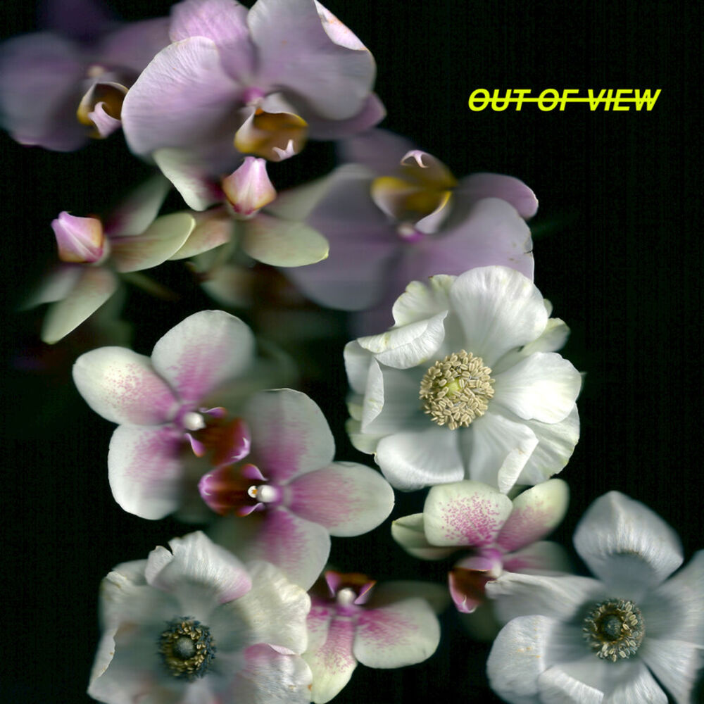 Picture of Out of View