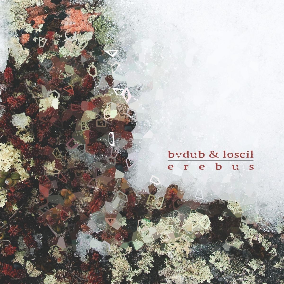 Album cover of Erebus