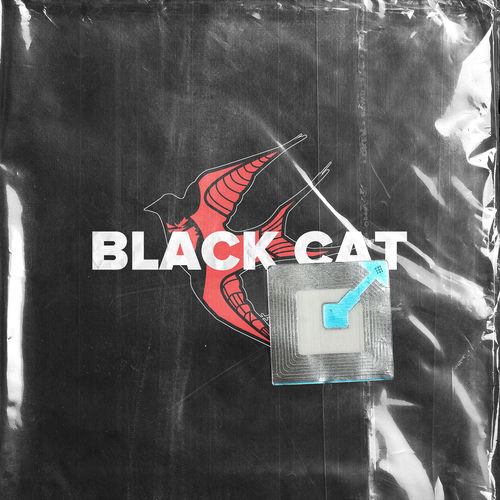 BLACK CAT