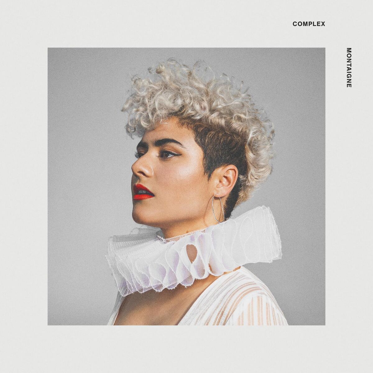 Album cover of The Dying Song