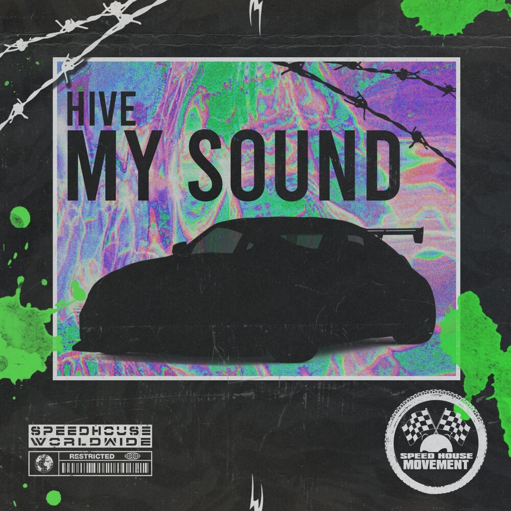 Picture of My Sound
