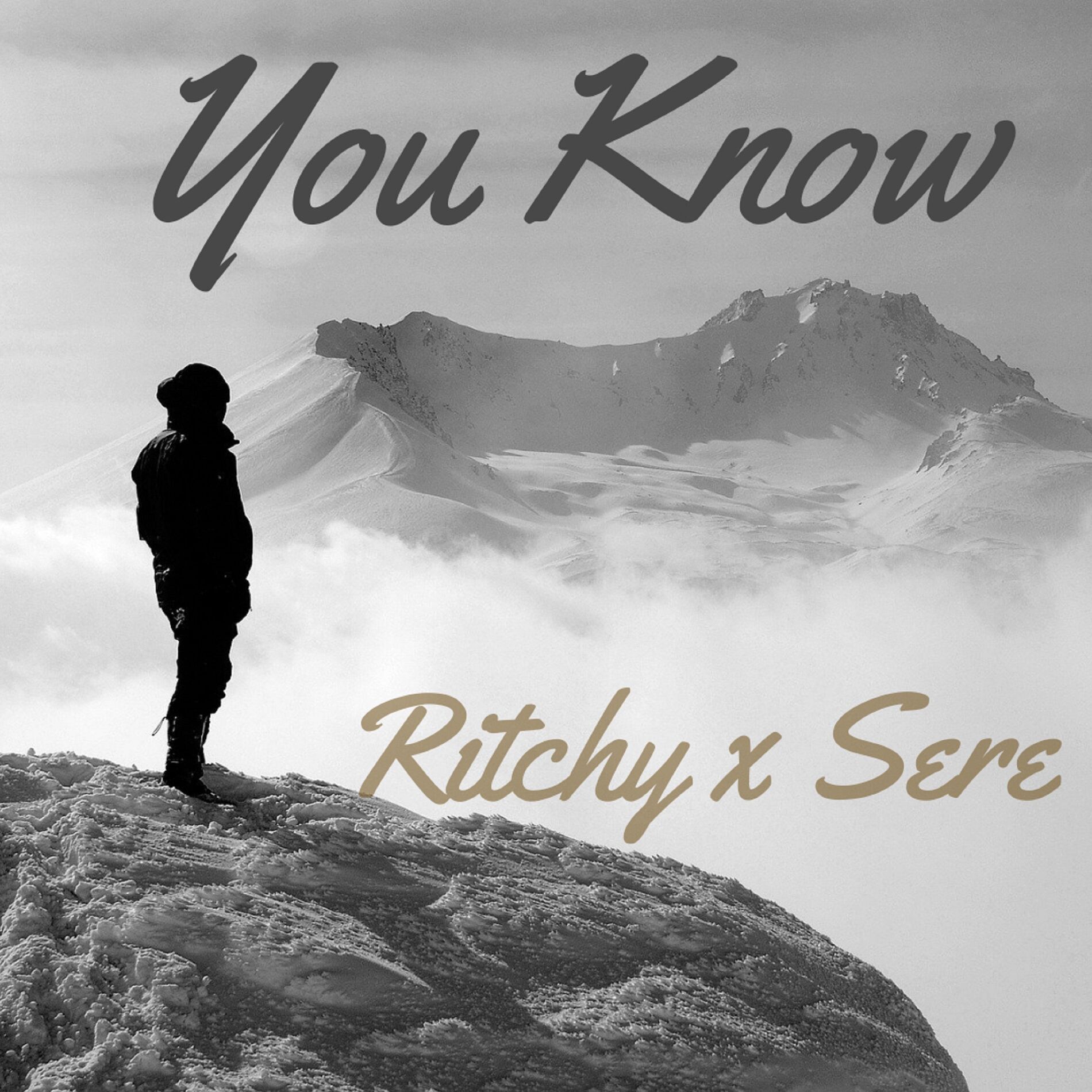 Album cover of You Know