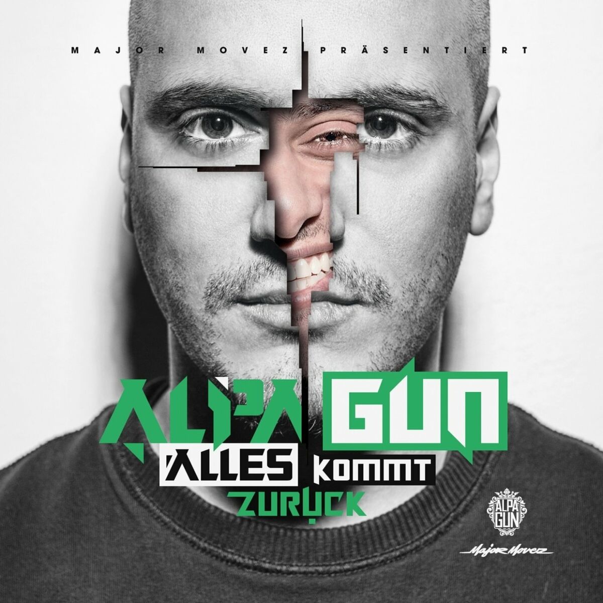 Album cover of Alles kommt zurück (Deluxe Edition)