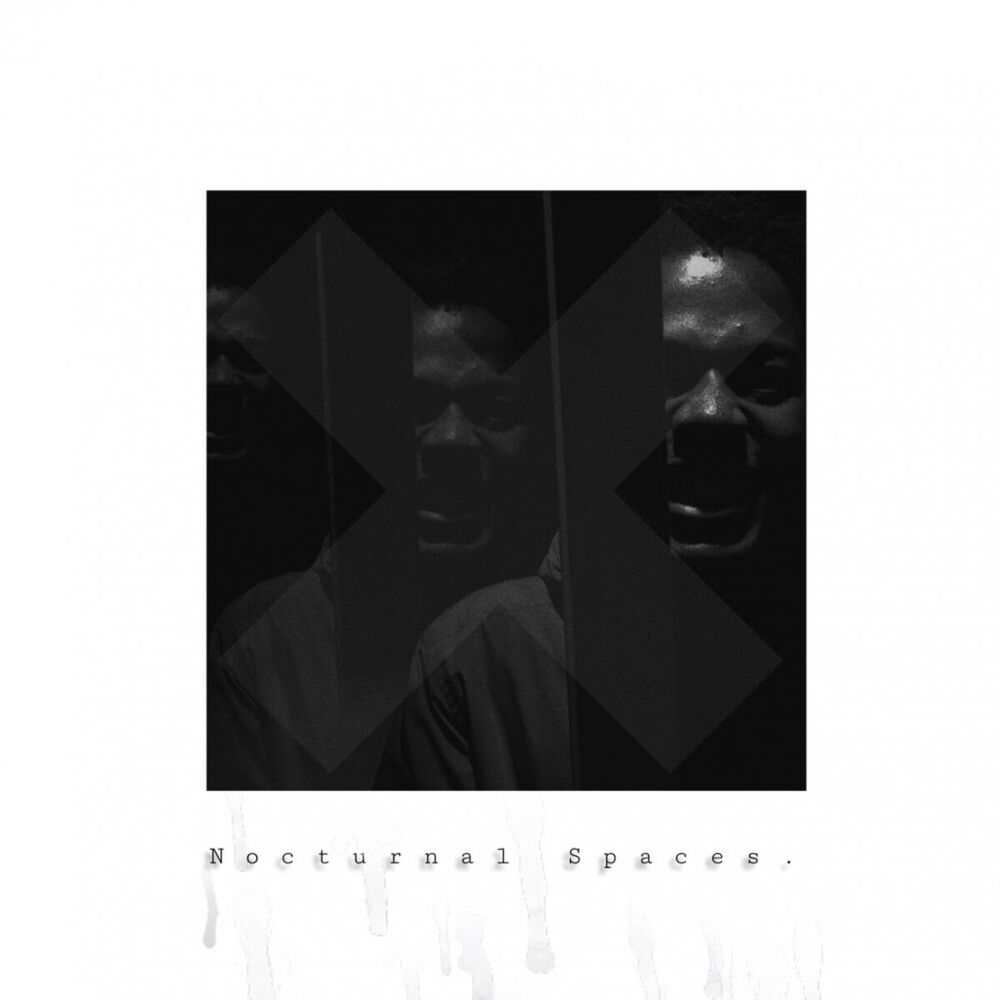 Picture of Nocturnal Spaces. (Chapter 1)