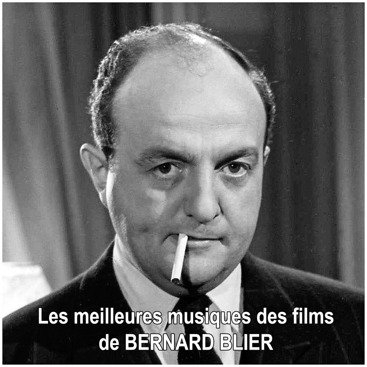 Album cover of Les meilleures musiques des films de BERNARD BLIER