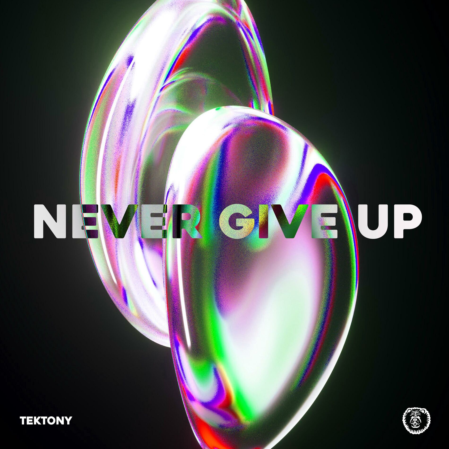 Album cover of Never Give Up (Techno Version)