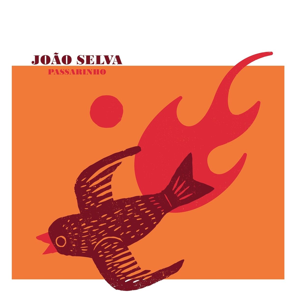Album cover of Passarinho