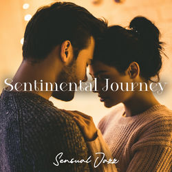 Cover of Sentimental Journey by undefined
