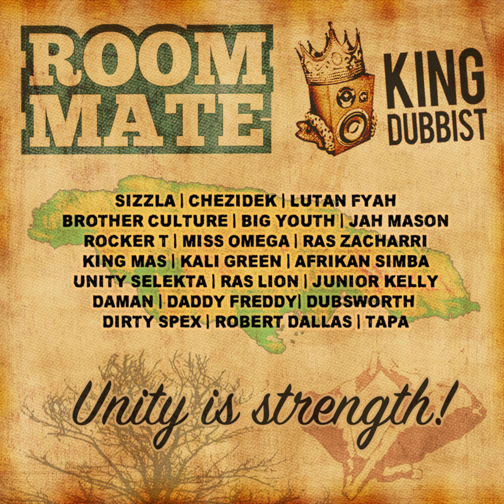 Picture of Unity Is Strength: The Best of King Dubbist