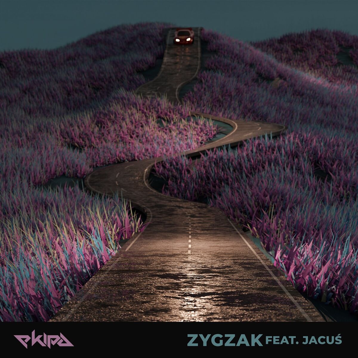 Album cover of Zygzak