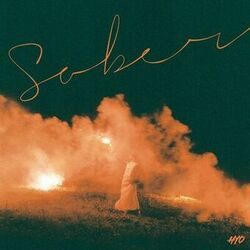 Cover of Sober
