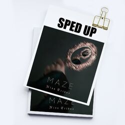 Cover of Maze (Sped Up)