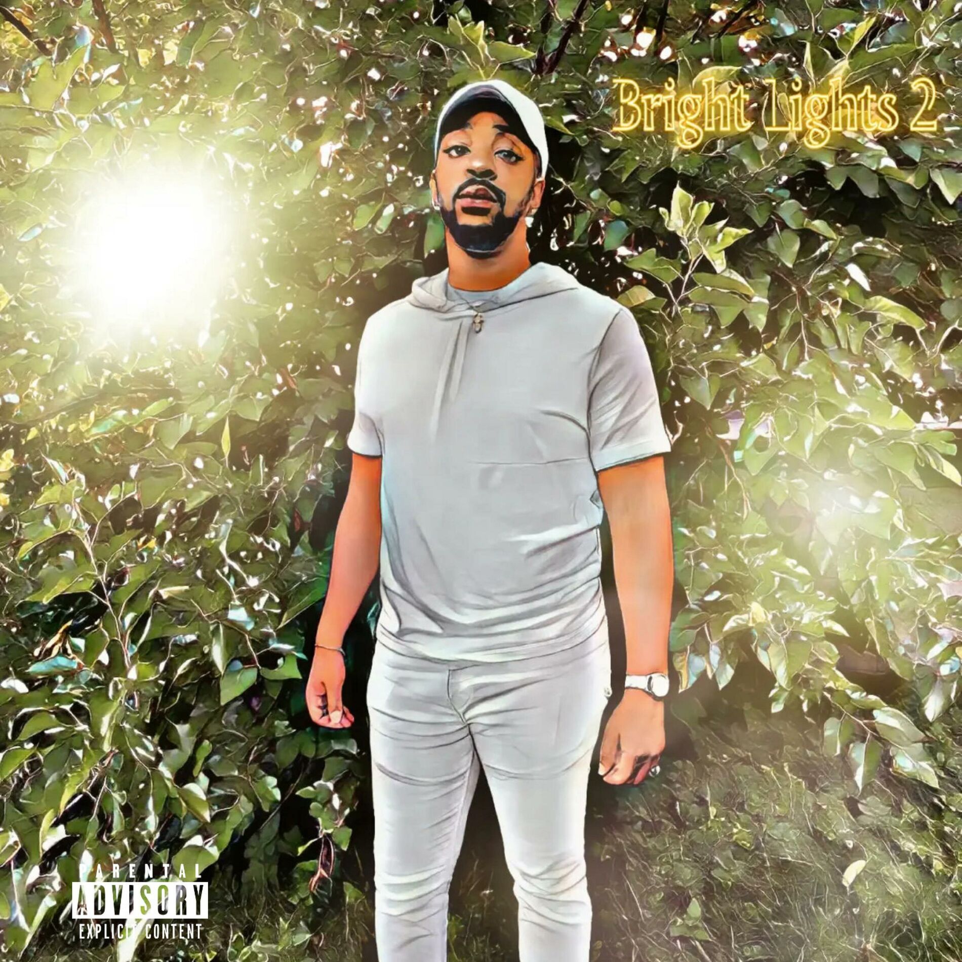 Album cover of Bright Lights 2