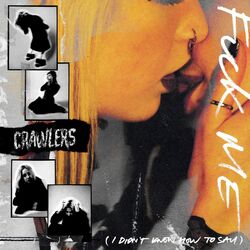 Cover of Fuck Me (I Didn’t Know How To Say)
