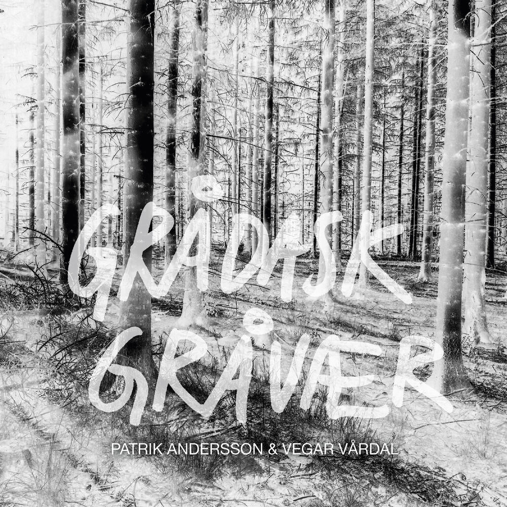 Picture of Grådask Gråvær