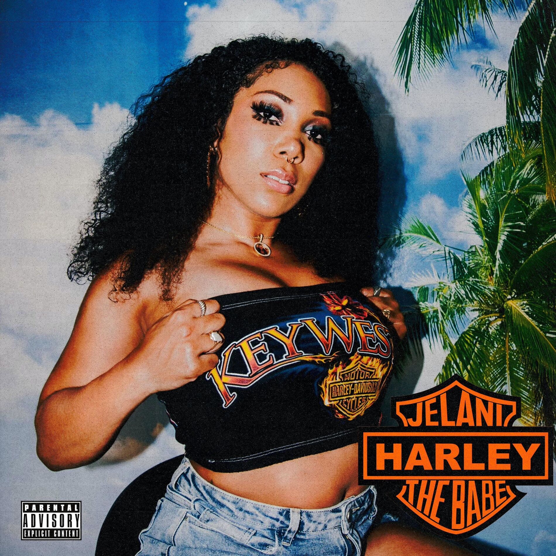 Album cover of Harley