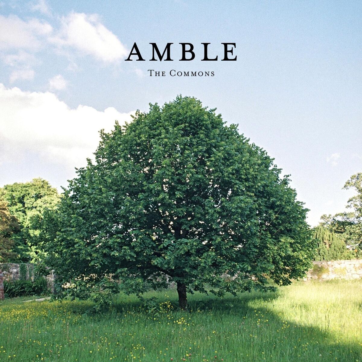 Album cover of The Commons