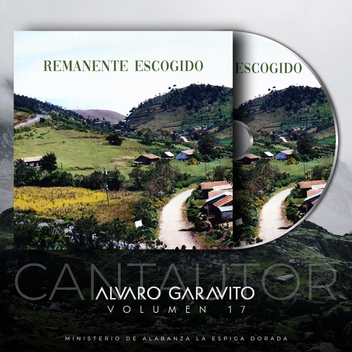 Album cover of Remanente Escogido, Vol. 17
