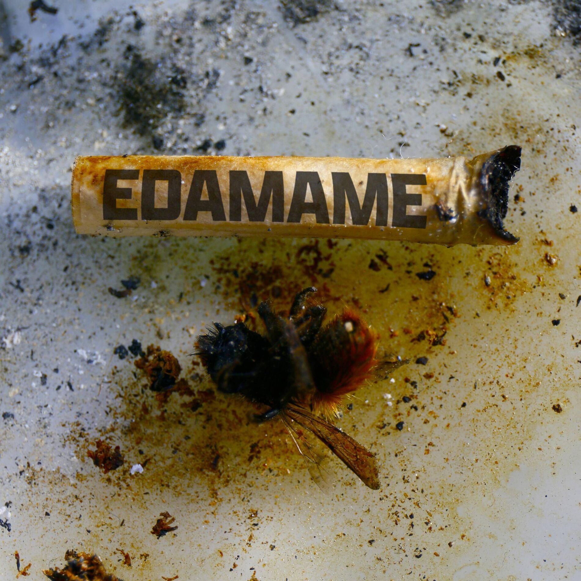 Album cover of L’Uomo è ciò che Mangia
