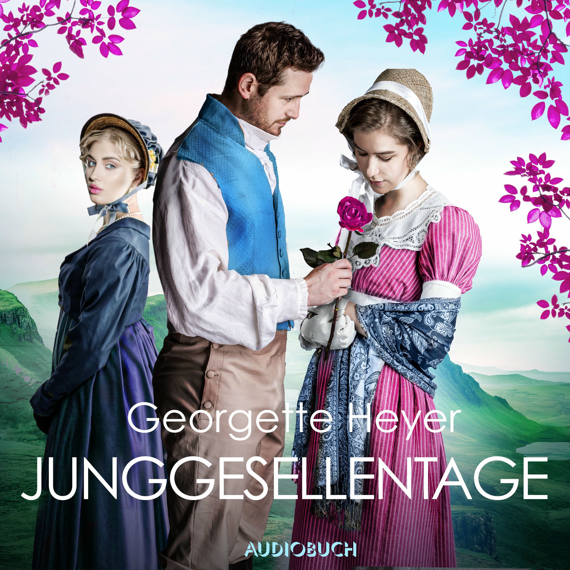 Album cover of Junggesellentage
