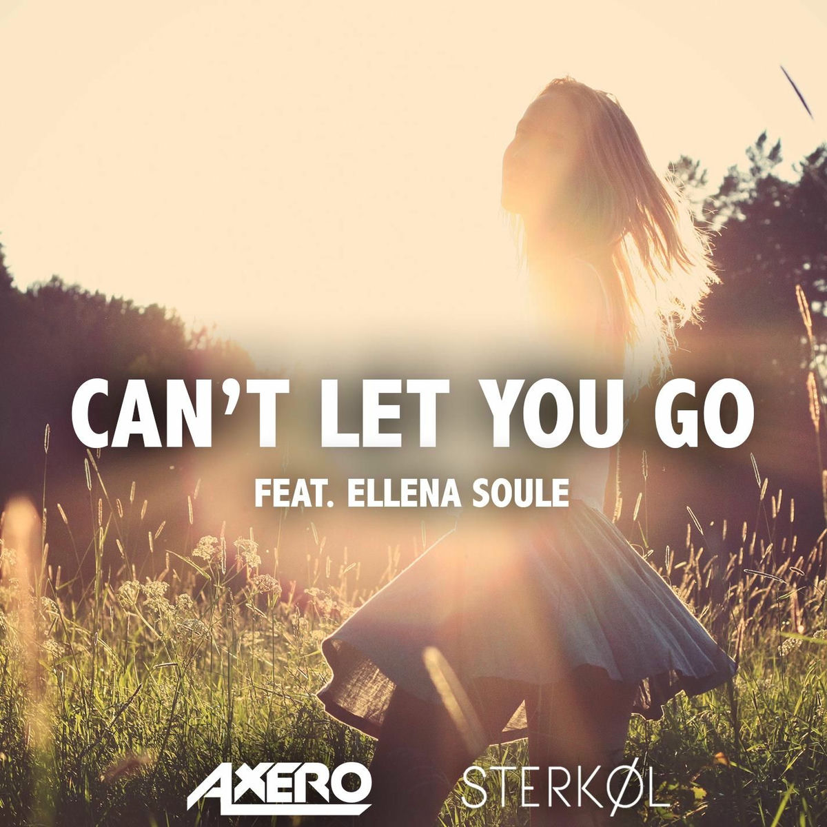 Album cover of Can't Let You Go (ft. Ellena Soule)