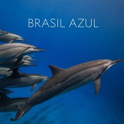 Cover of Brasil Azul (Trilha Sonora Original do Filme)