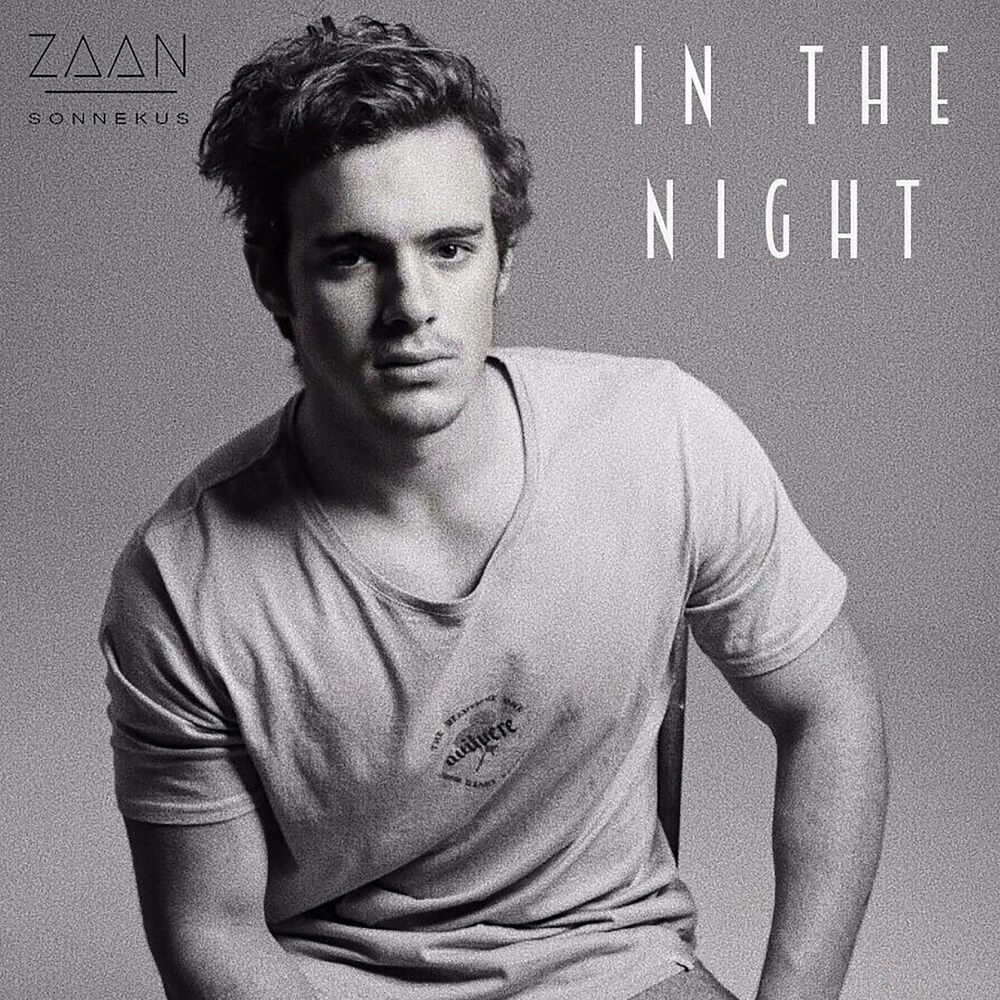 Picture of In the Night