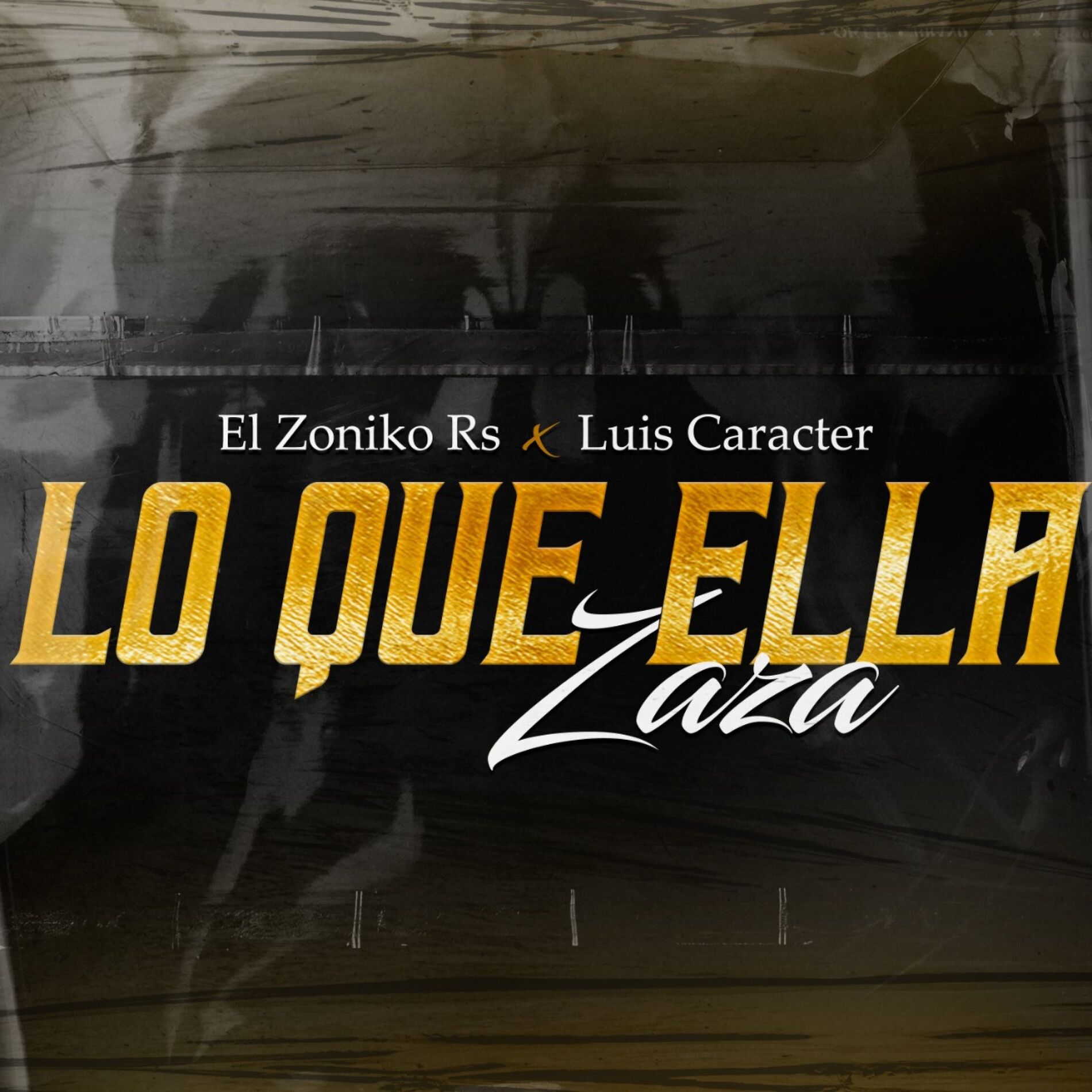 Album cover of Lo Que Ella Zaza