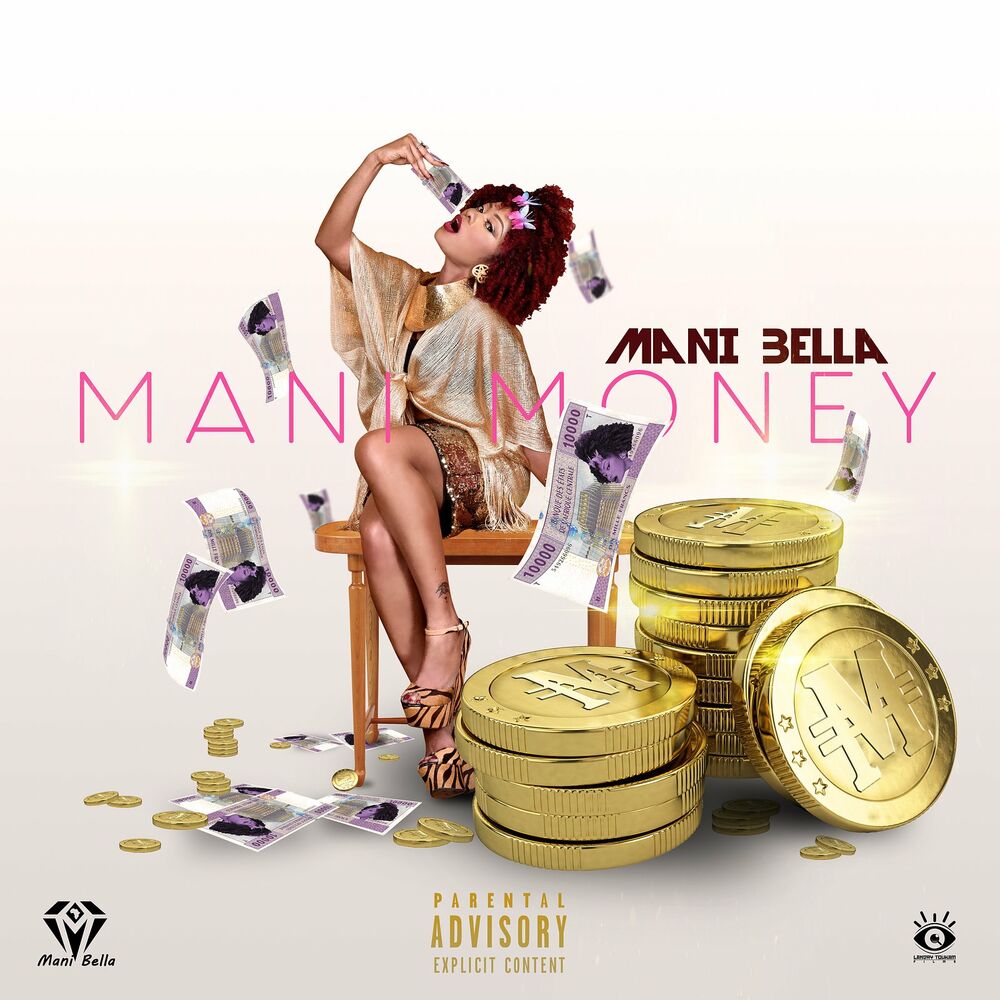 Picture of Mani Money