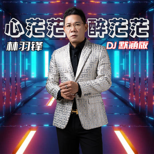 心茫茫醉茫茫 (DJ默涵版)