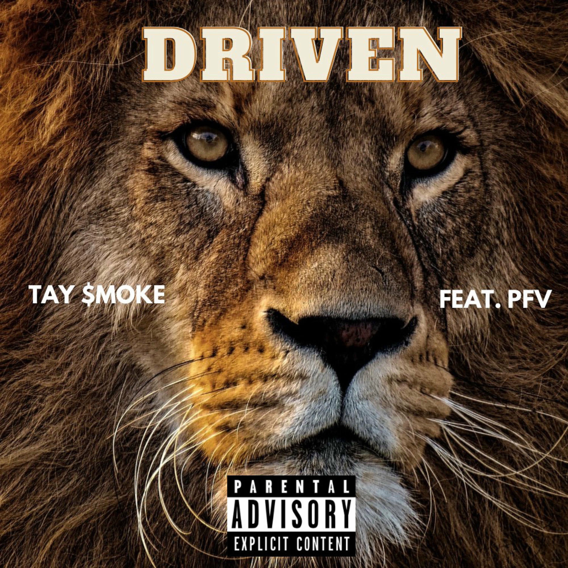 Album cover of Driven (feat. PFV)