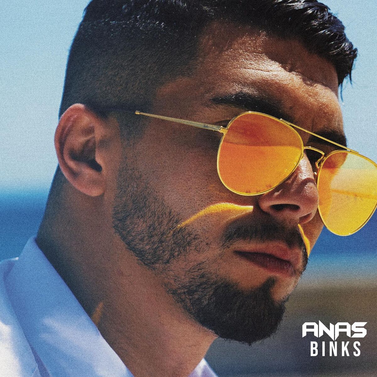 Album cover of Binks