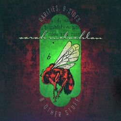 Cover of Rarities, B-Sides & Other Stuff