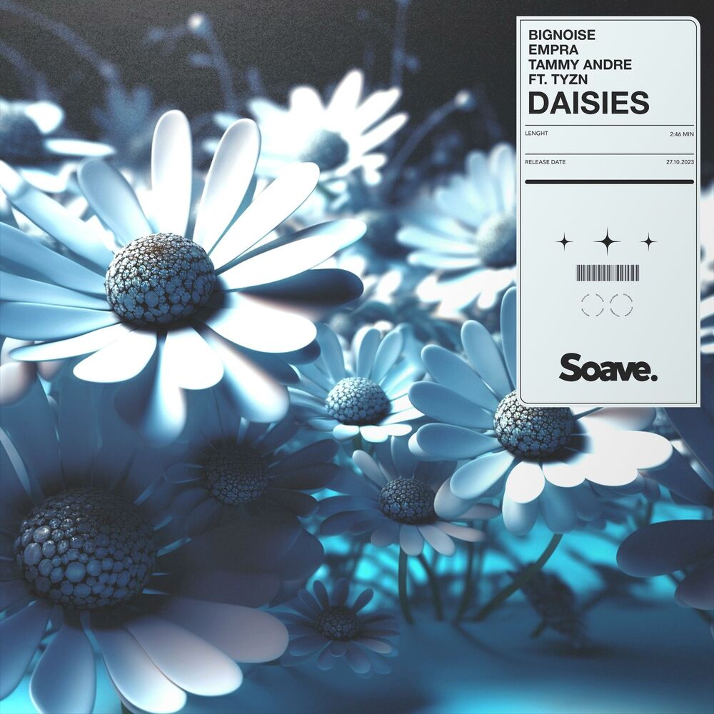 Picture of Daisies