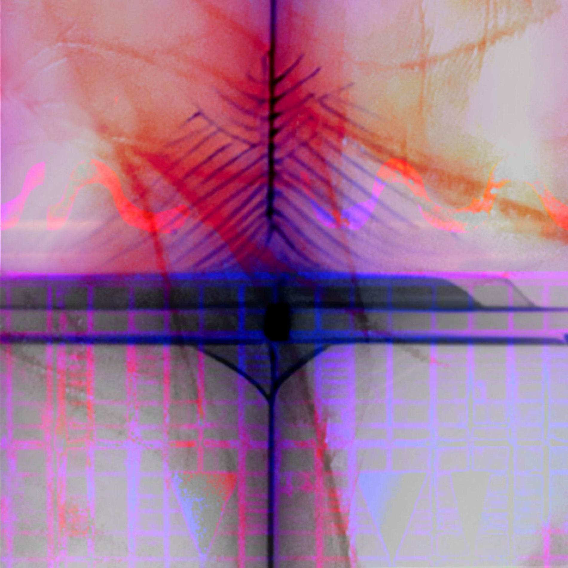 Album cover of Palmas