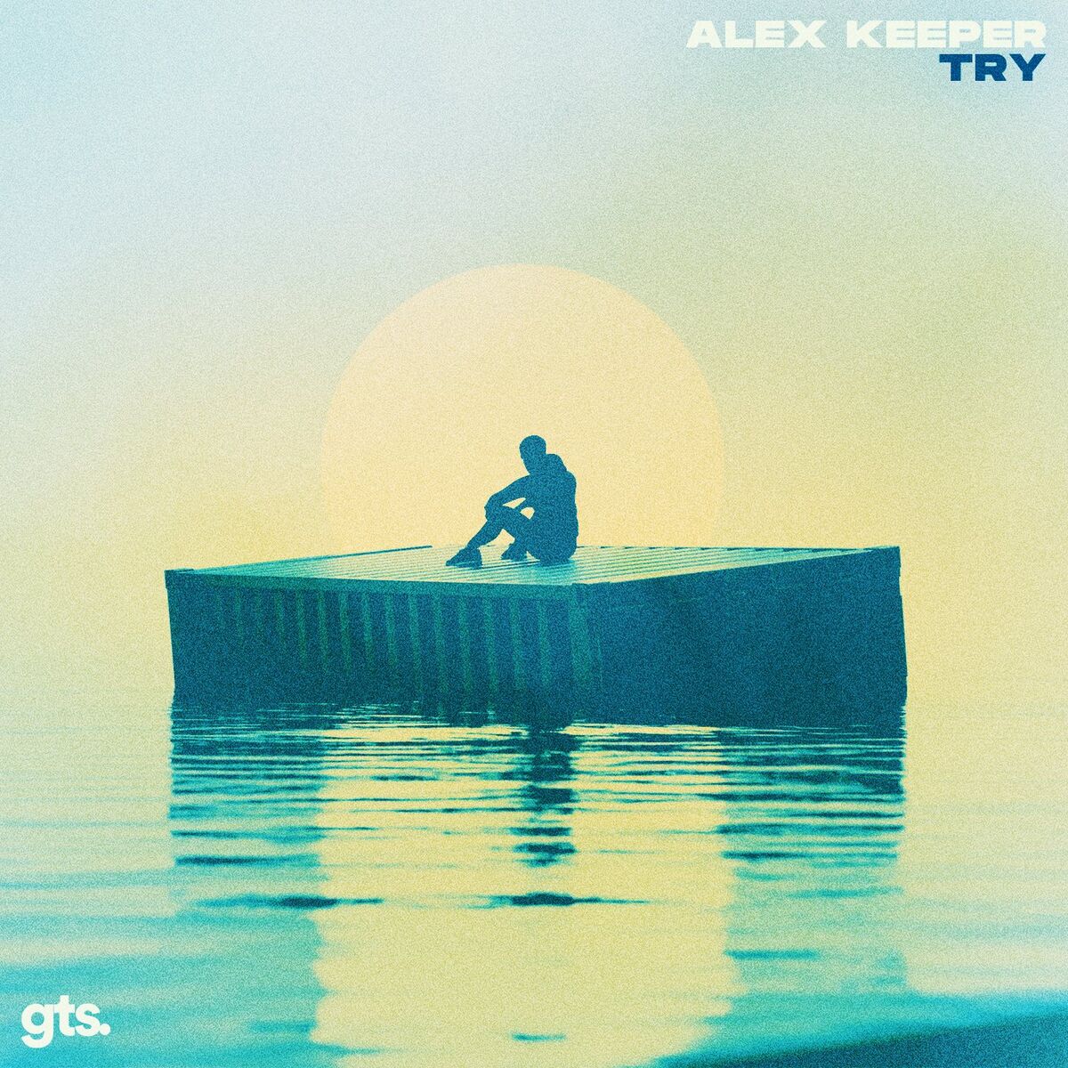 Album cover of Try