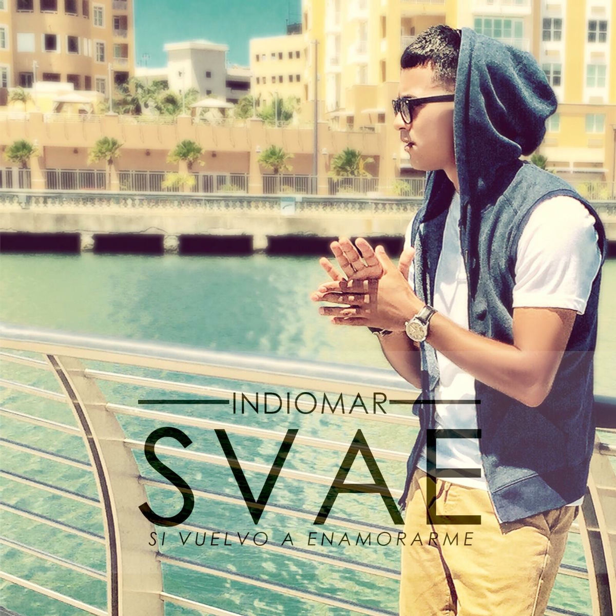 Album cover of Svae