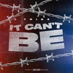 Cover of It Can't Be