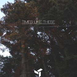 Cover of Times Like These