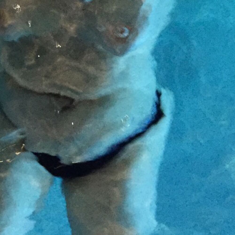 Picture of Wet