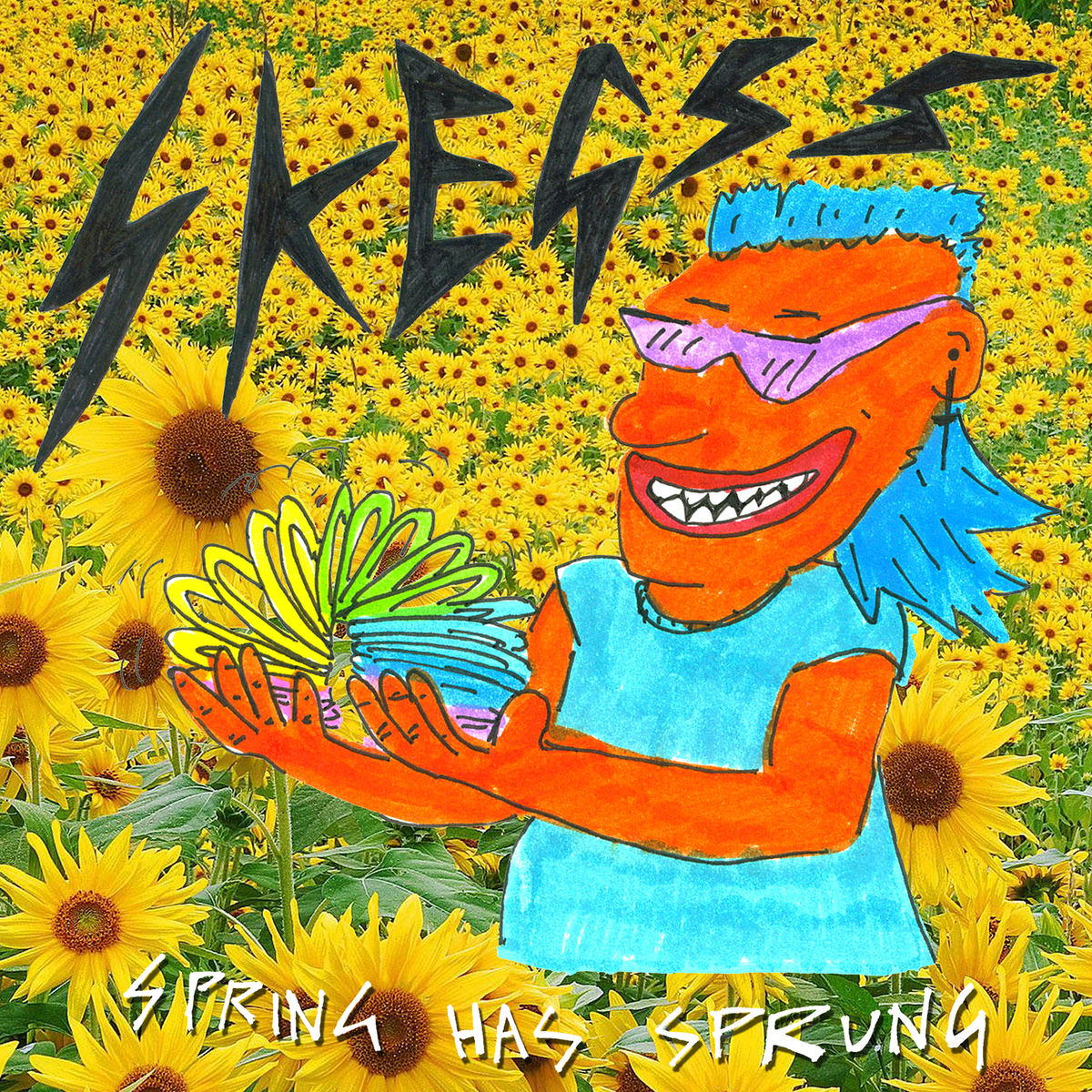Album cover of Spring Has Sprung