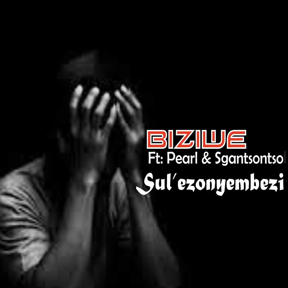 Picture of Sul'ezonyembezi